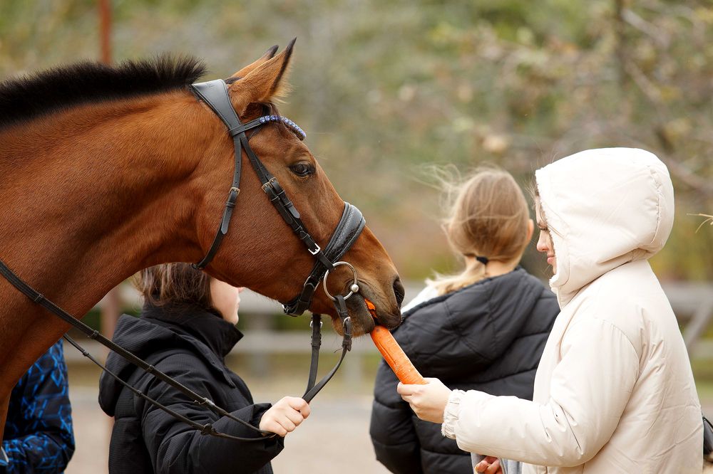 Photograph by Ольга Рябчикова
