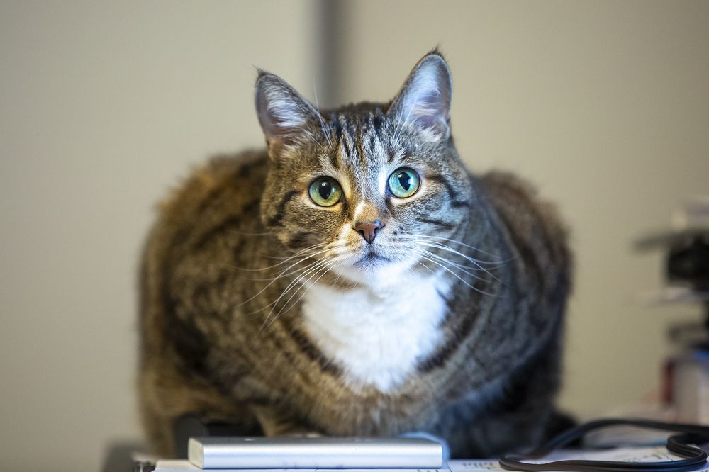 Photograph by Юлия Лорис