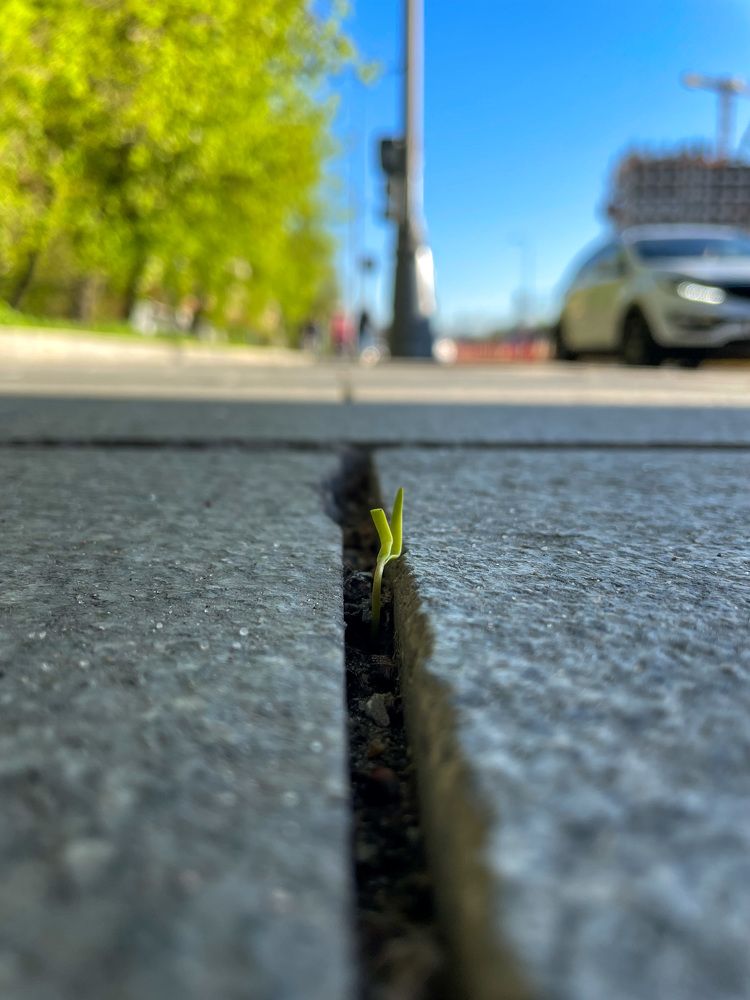 Photograph by Лия Маликова