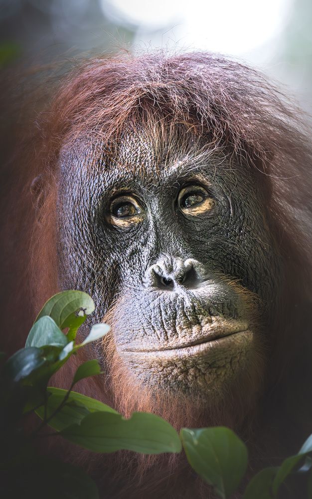 Photograph by Светлана Дмитриева