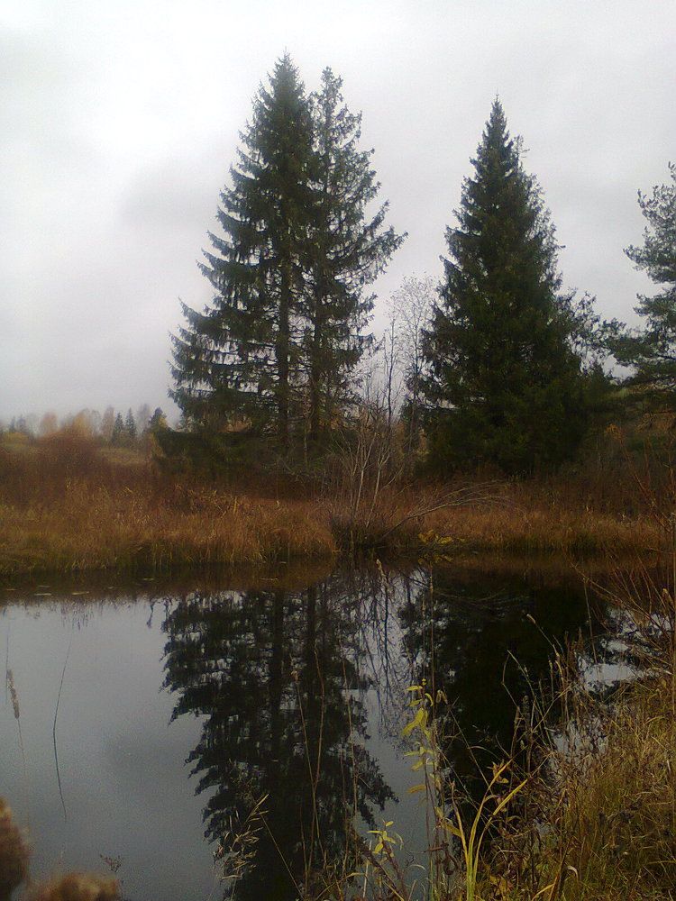 Фотография автора Михаил Смирнов