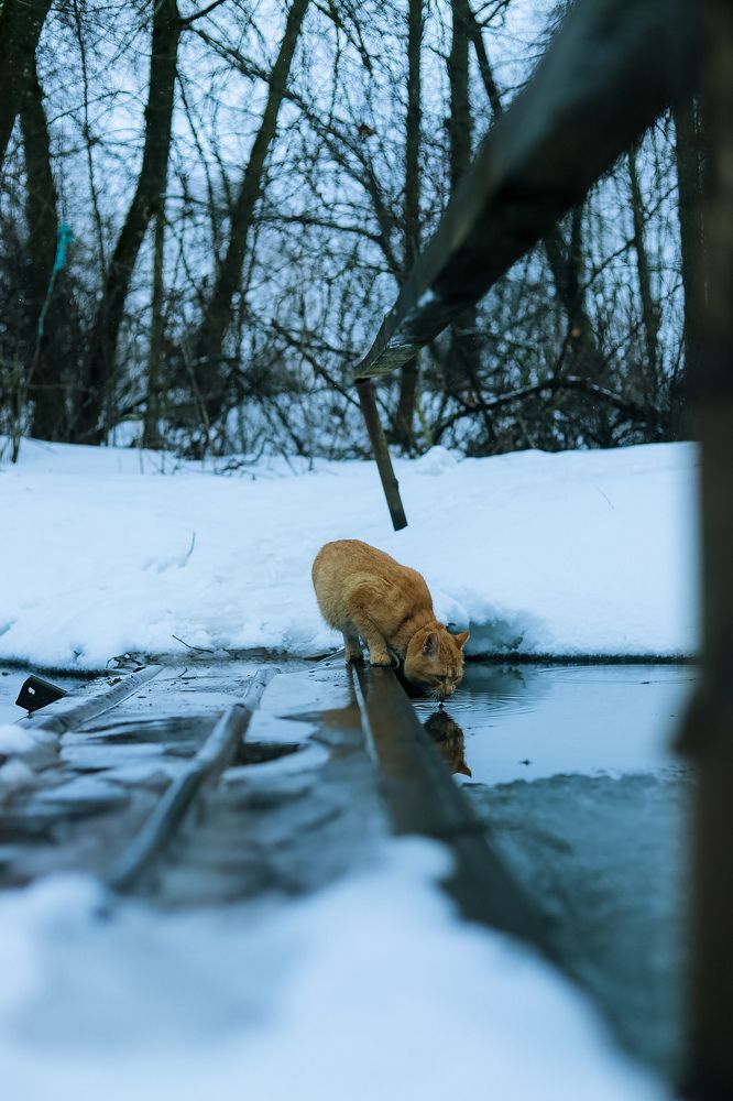 Photograph by Руслана Ковалевская