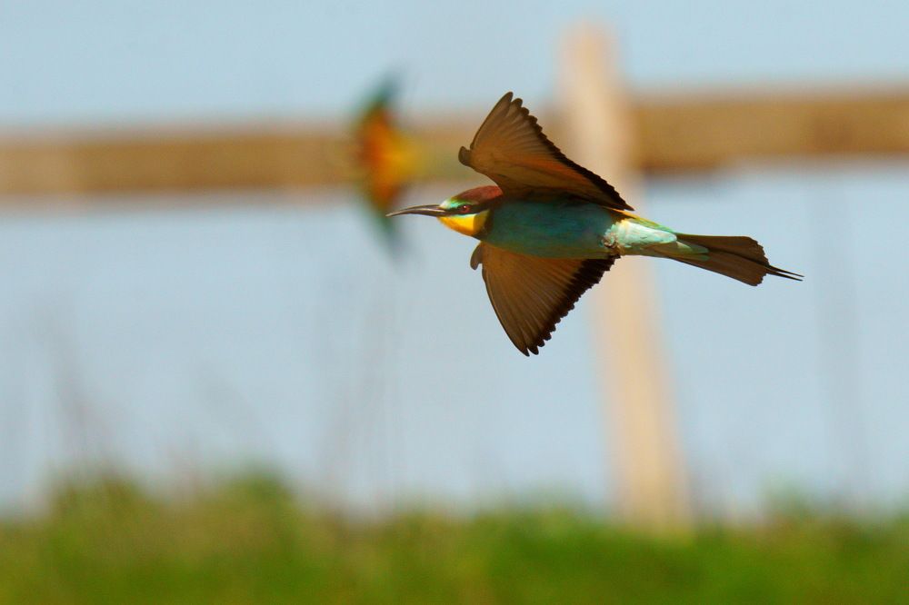 Photograph by Дмитрий Дрозд