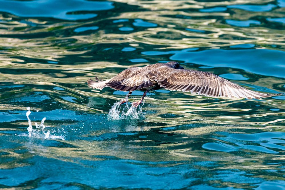 Photograph by Юлия Лорис