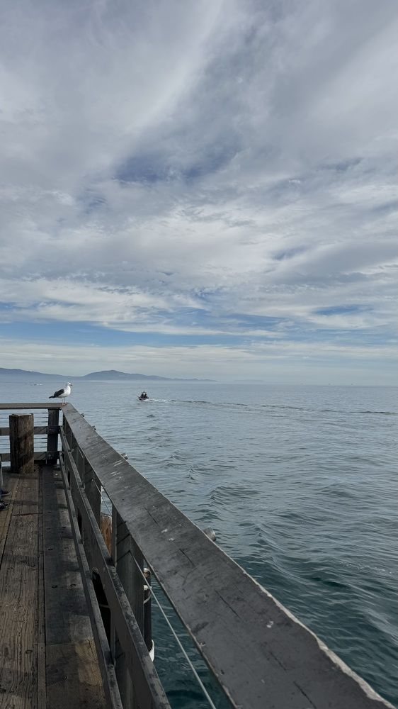 Photograph by Alsu Zabirova