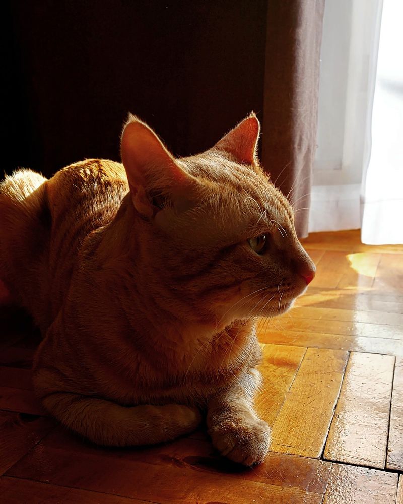 Photograph by Татьяна Михеева