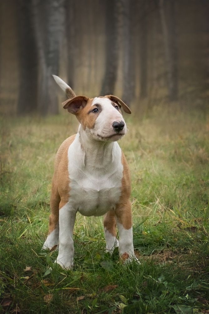 Photograph by Екатерина