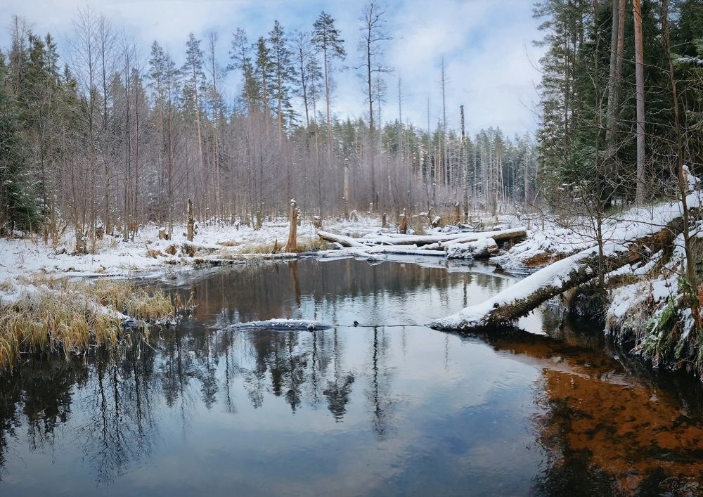 Photograph by Александр Фадеев