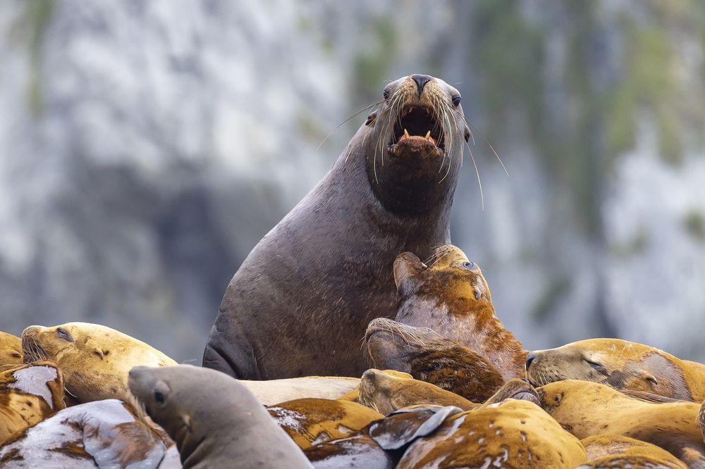 Photograph by Юлия Лорис