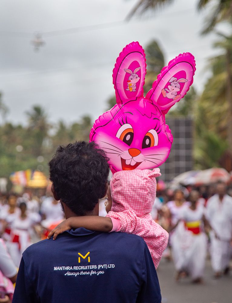 Фотография автора Laddu Sasindu Pramuditha De Silva