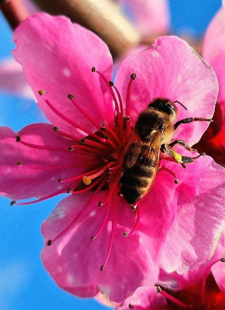 Photograph by Евгений Фесенко