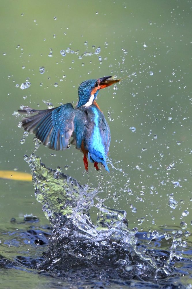 Photograph by Dilip Gite