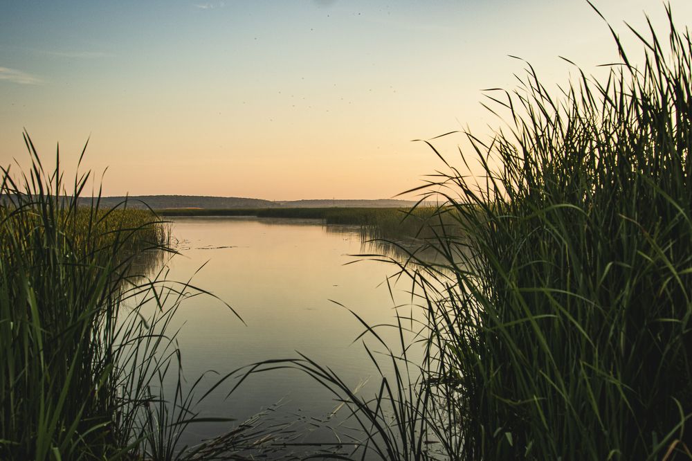 Photograph by Васенин Павел