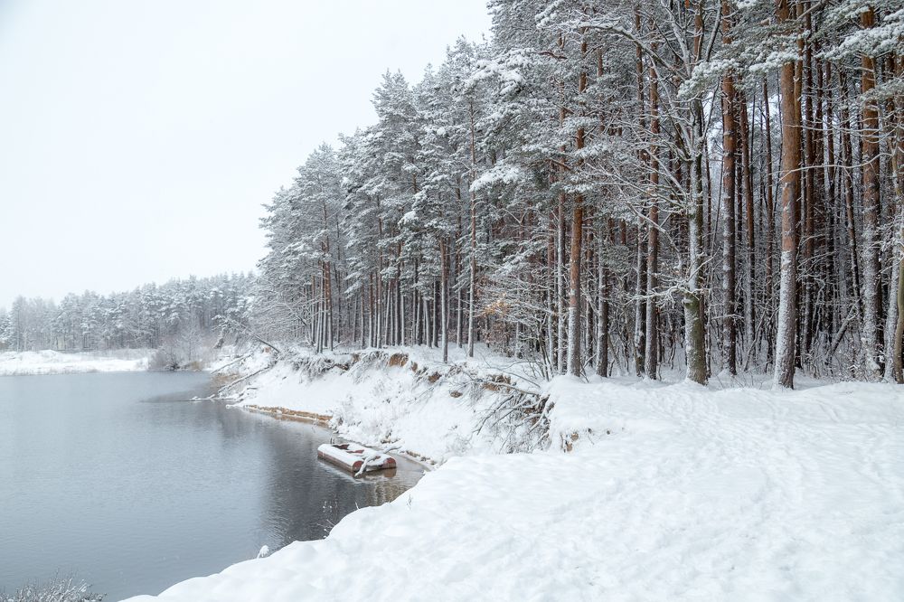 Photograph by Наталья Брюхненко