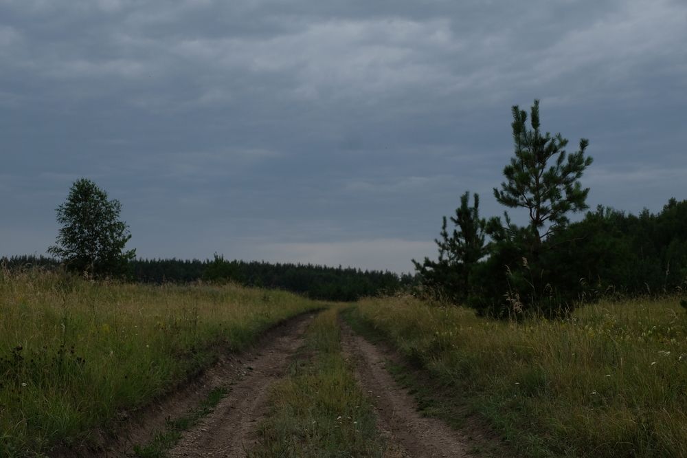 Photograph by Алёна Дёмочкина