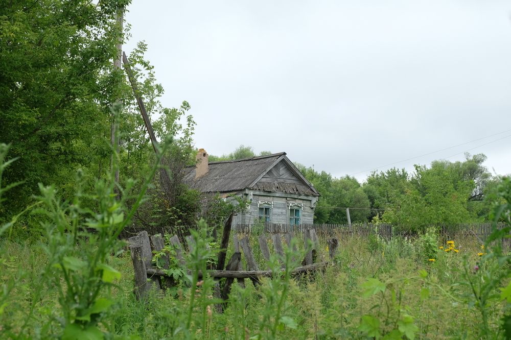 Photograph by Алёна Дёмочкина