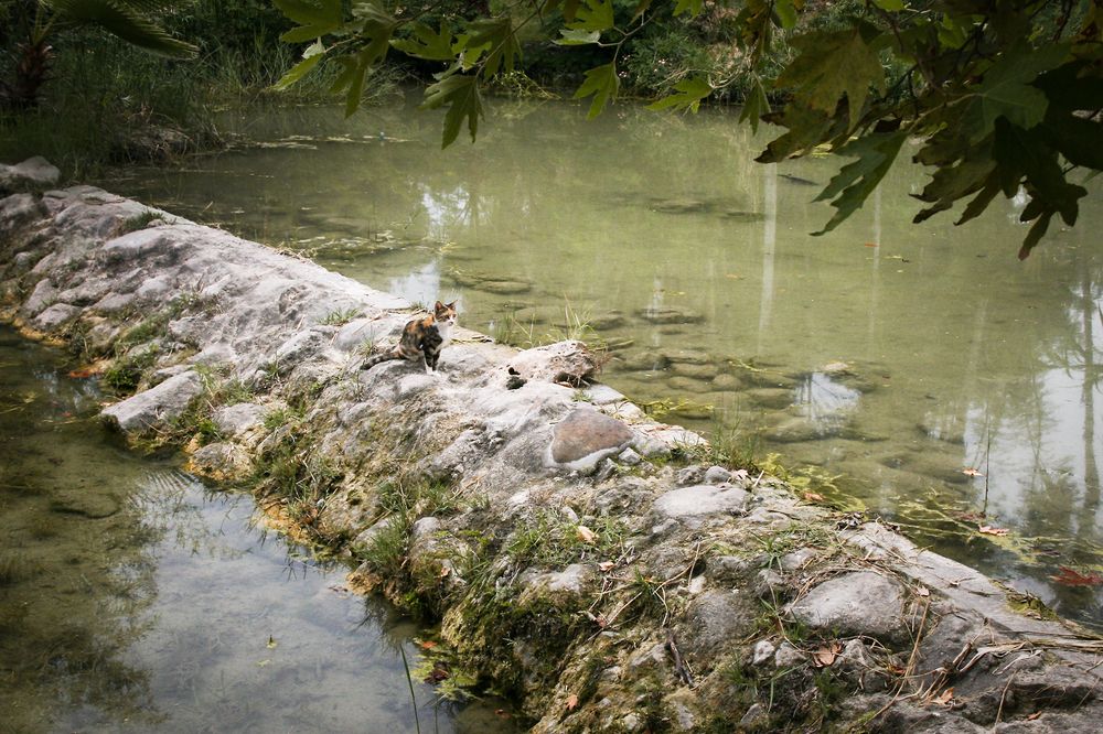 Photograph by Perfilova