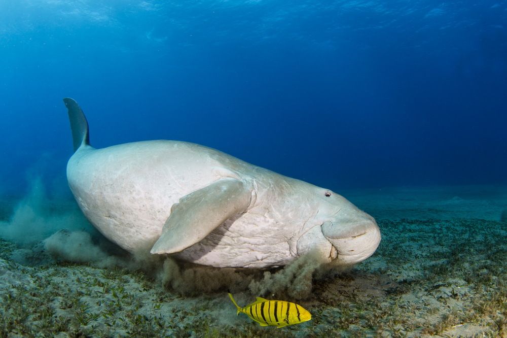 Photograph by Pavel Osada