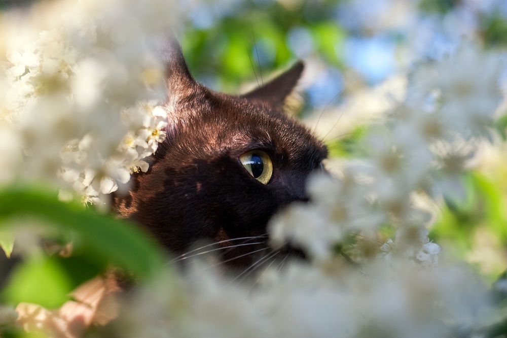 Photograph by Perfilova