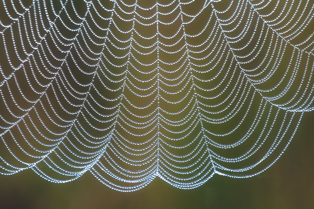 Photograph by Юрий Спасенников