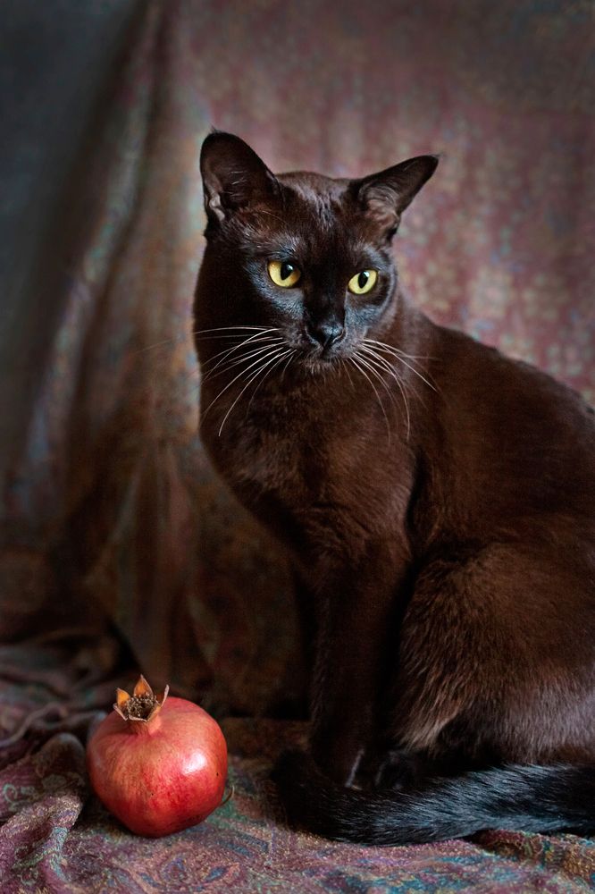 Photograph by Perfilova