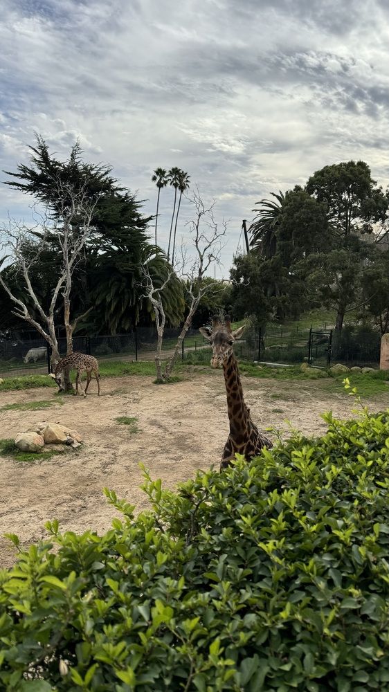 Photograph by Alsu Zabirova