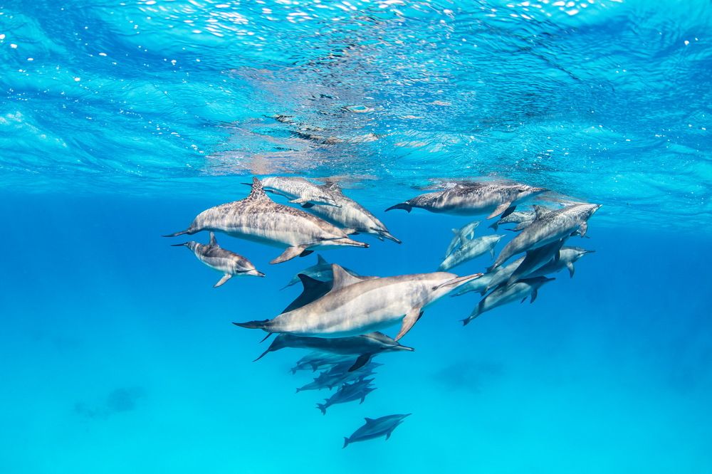 Photograph by Pavel Osada