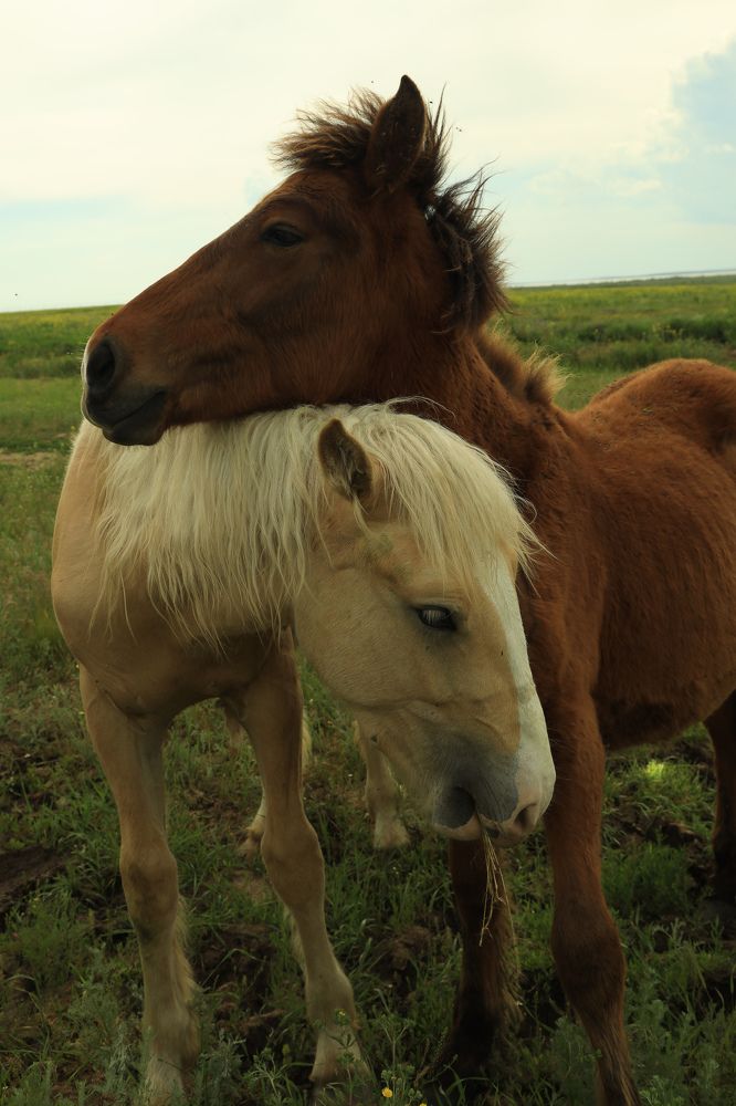 Photograph by Ирина Бескровная