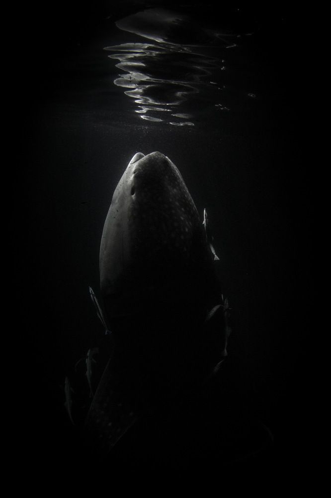 Photograph by Pavel Osada