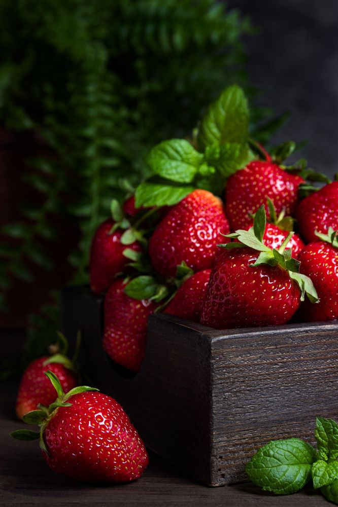 Photograph by Мария Кудрявцева