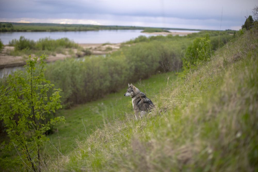 Photograph by Elena Kostochkina