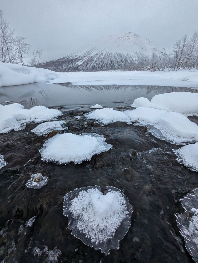 Photograph by Андрей Гусаров