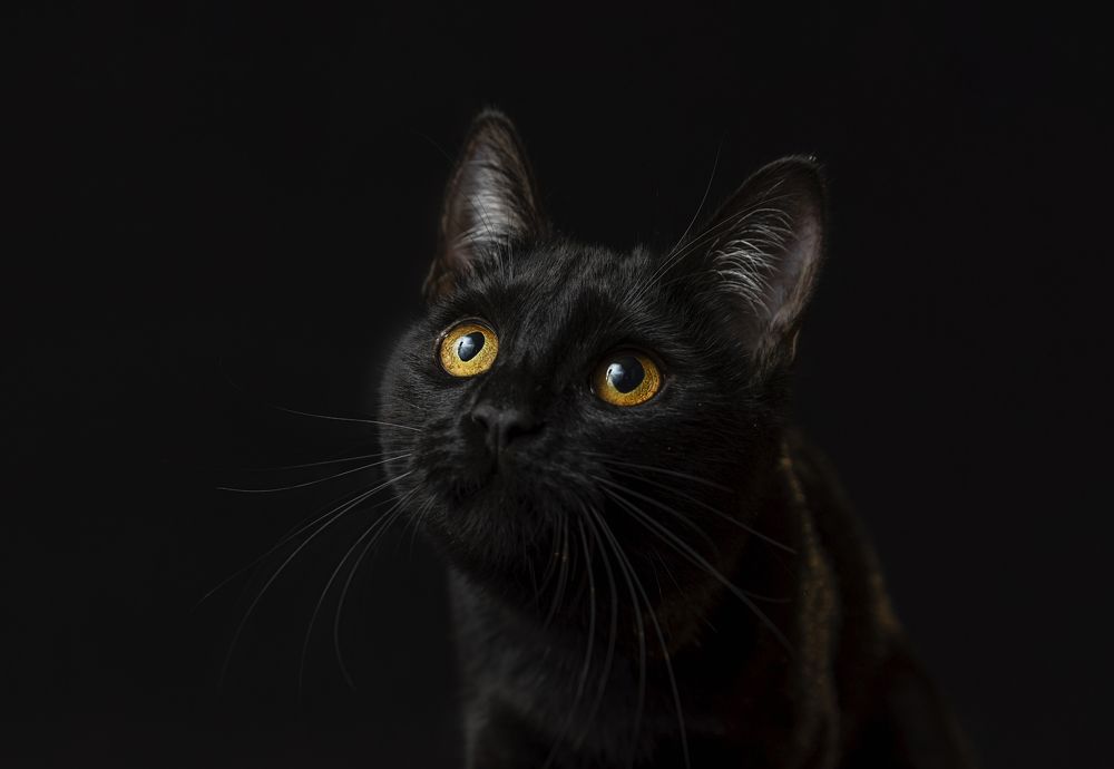 Photograph by Светлана Степашина