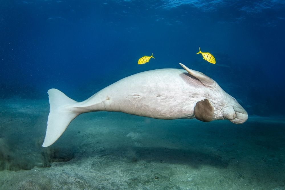 Photograph by Pavel Osada