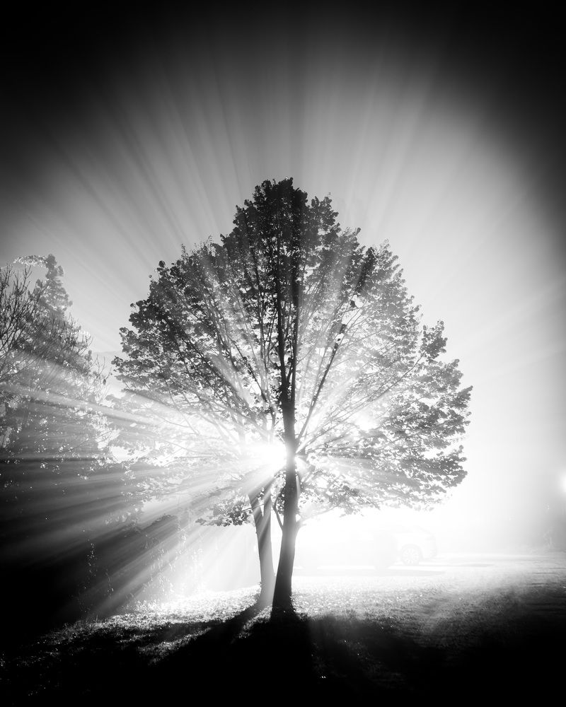 Фотография автора Minja Jovetic