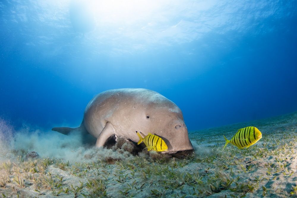 Photograph by Pavel Osada