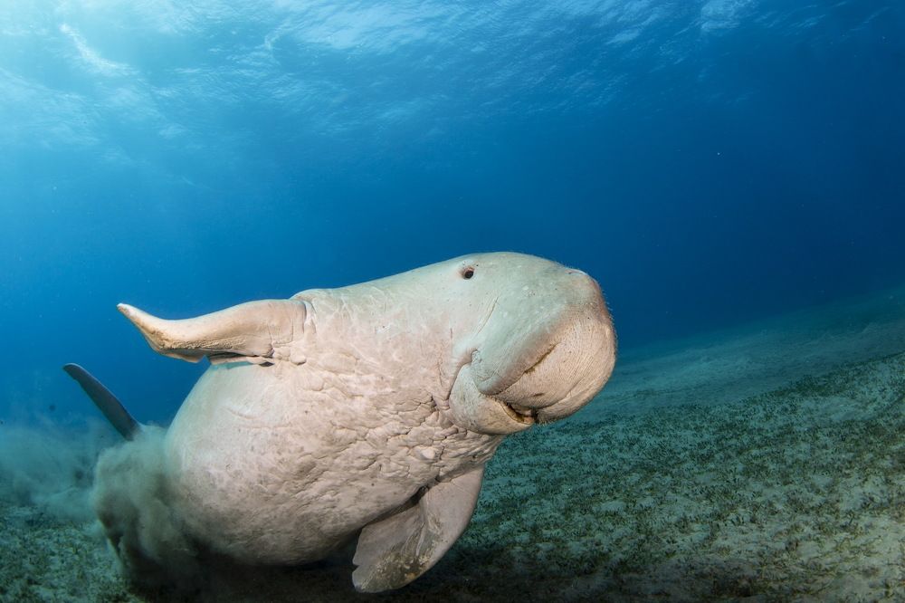 Photograph by Pavel Osada