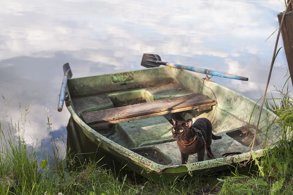 Photograph by Perfilova