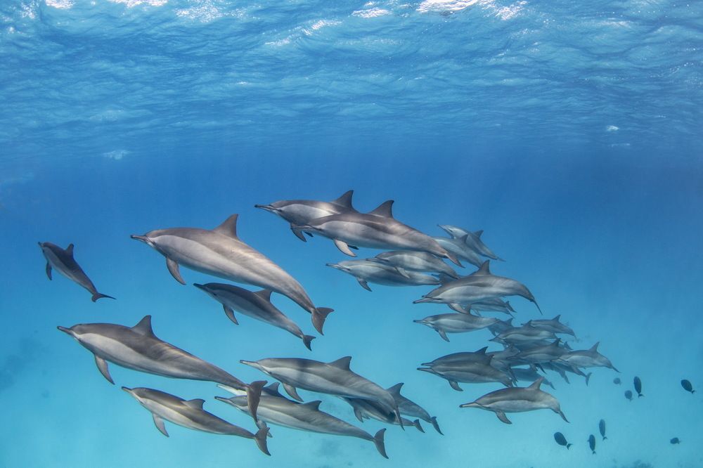 Photograph by Pavel Osada