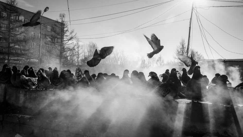 Photograph by Александр Соколович