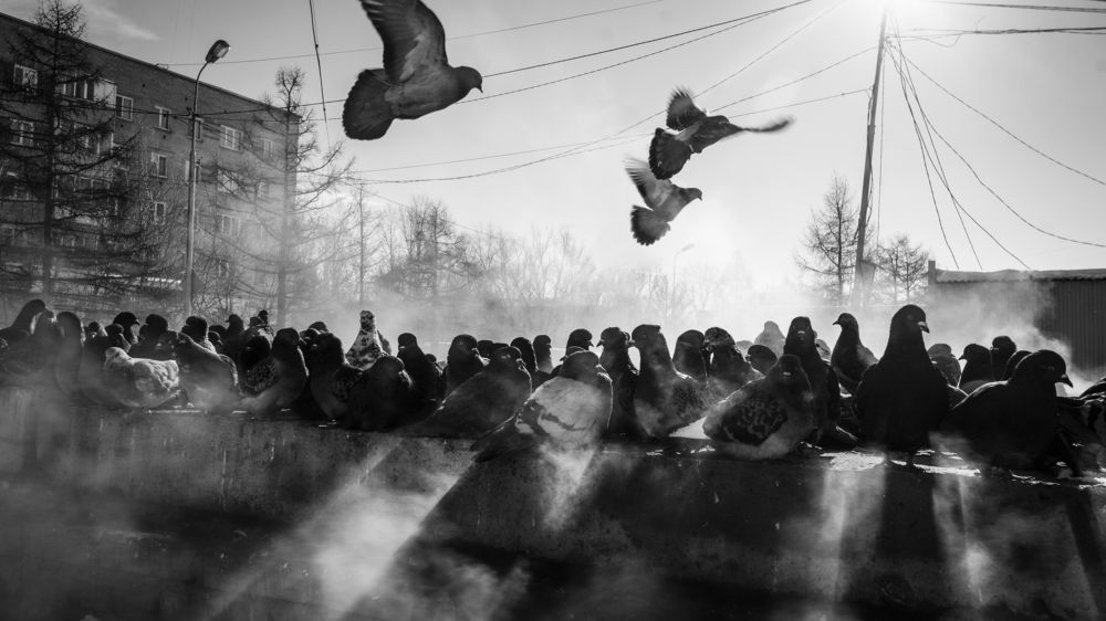 Photograph by Александр Соколович