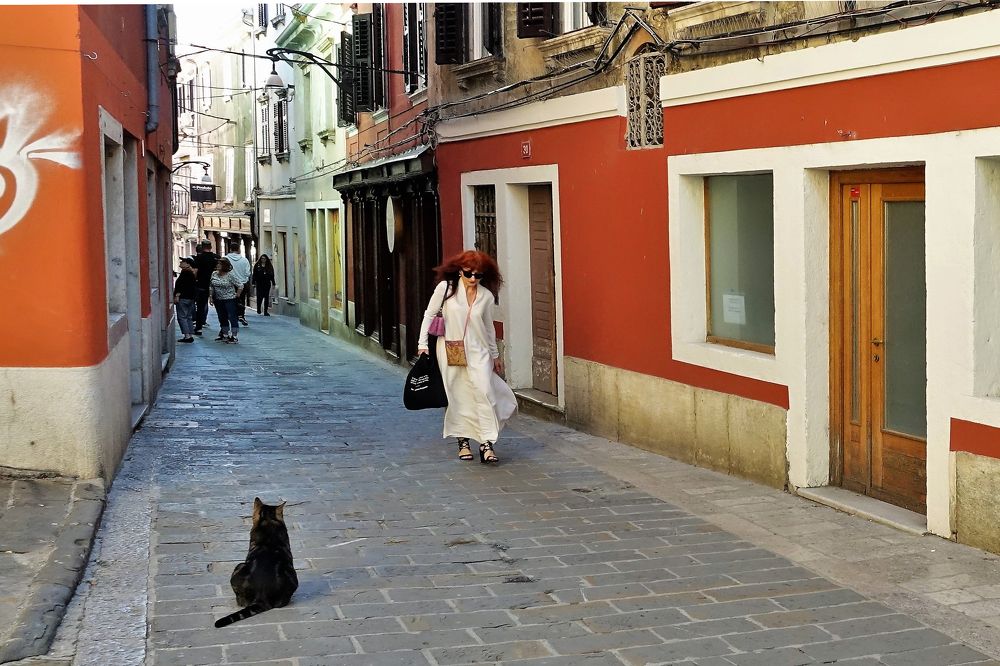 Photograph by jelena konickaja