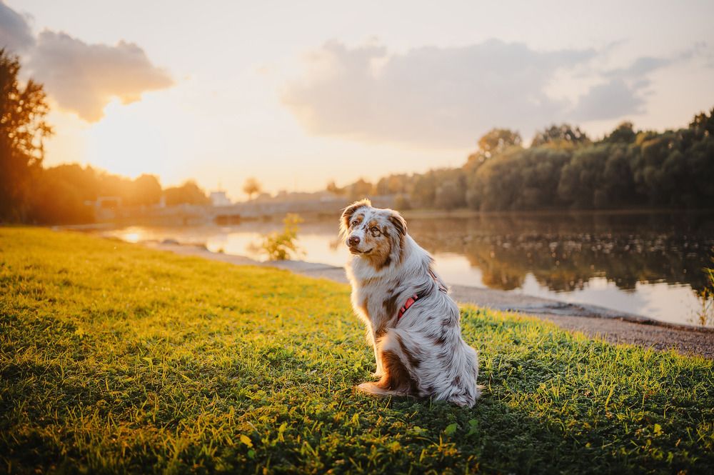 Photograph by Kate Entsi