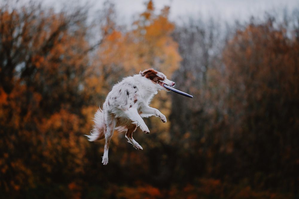 Photograph by Kate Entsi