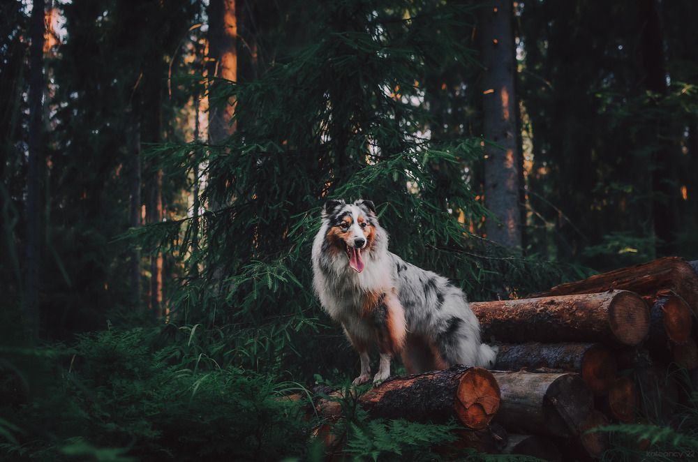 Photograph by Kate Entsi