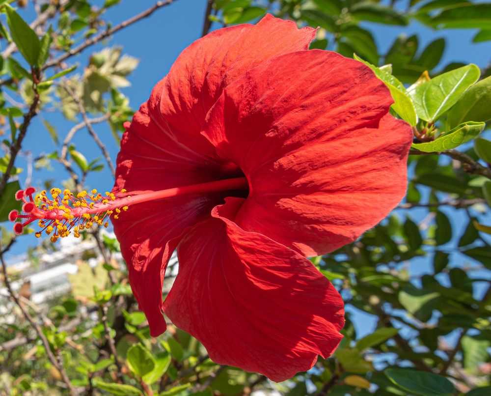 Фотография автора DIMITRIS MPAZIOTOPOULOS