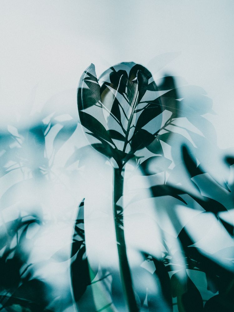 Photograph by Протченко Ирина