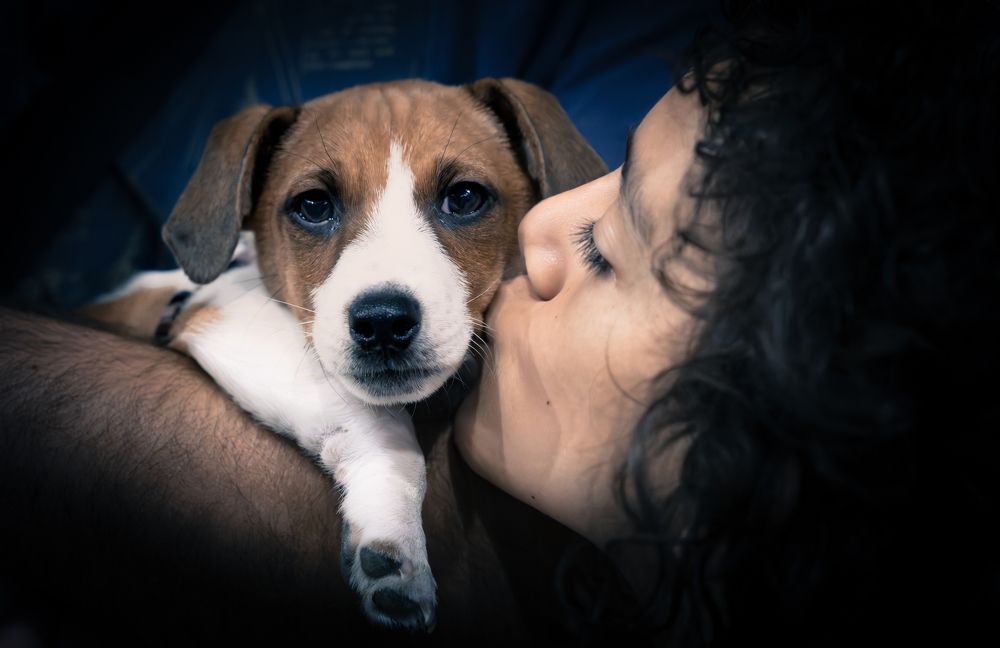 Photograph by Elena Craciun