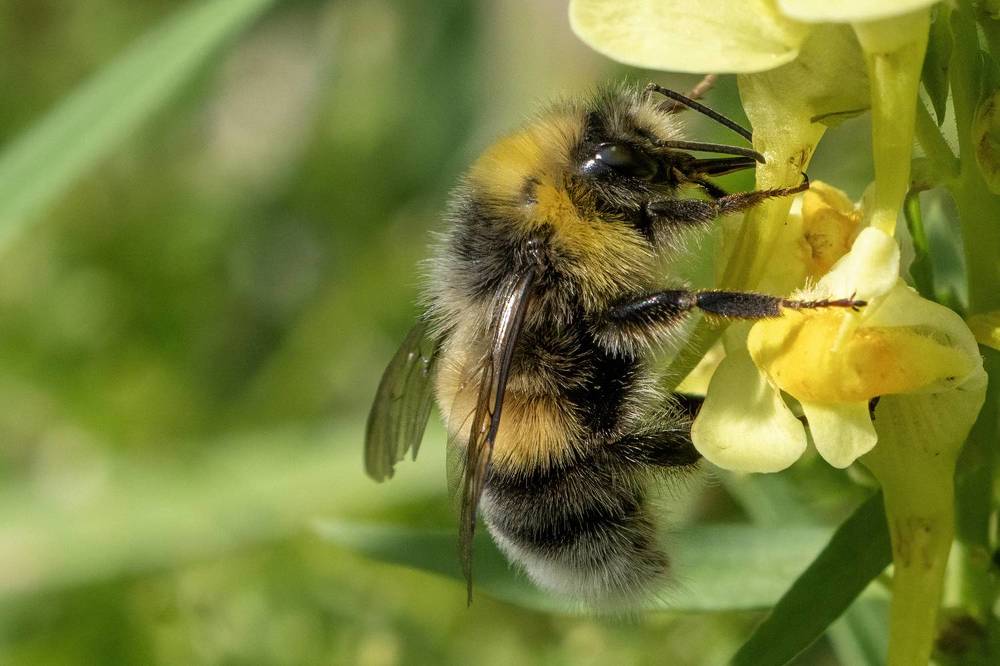 Фотография автора Ruslan Badykov