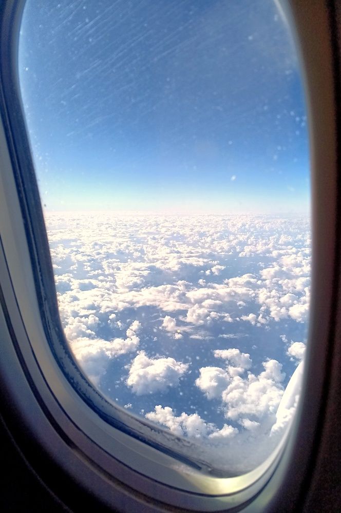 Photo #10329506
